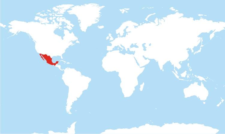 harta Mexic global
