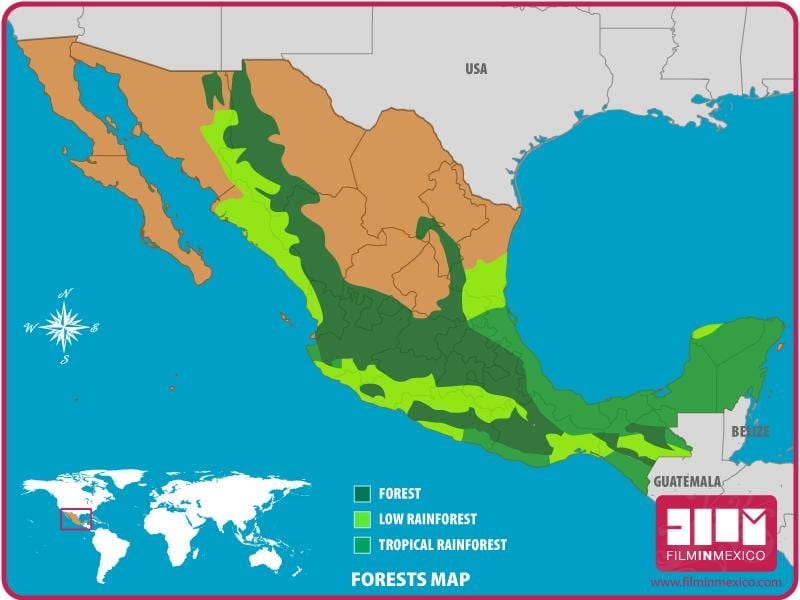 harta Mexic păduri