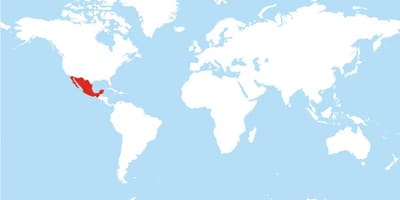 Harta Mexic global