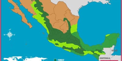 Harta Mexic păduri